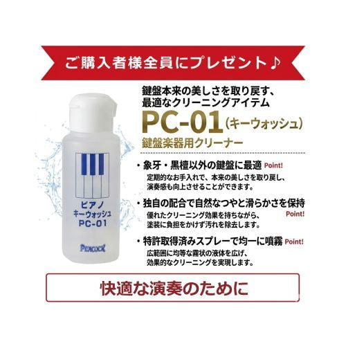 クリーナープレゼント