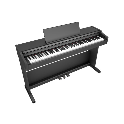 RP107_1