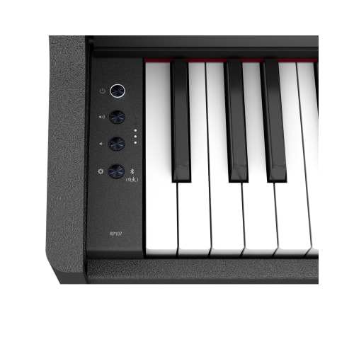RP107_2