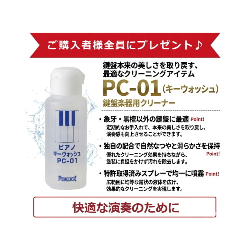 クリーナープレゼント