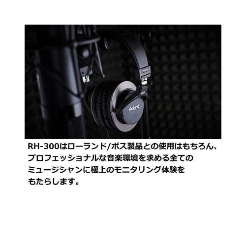RH-300 特徴