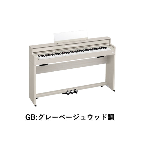 AP-S450GB