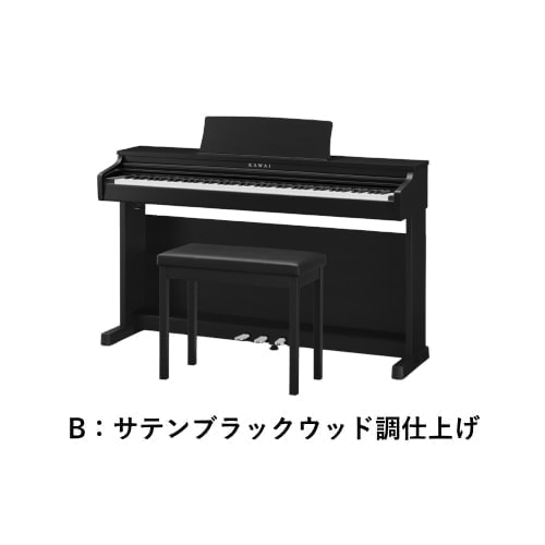 CX202B