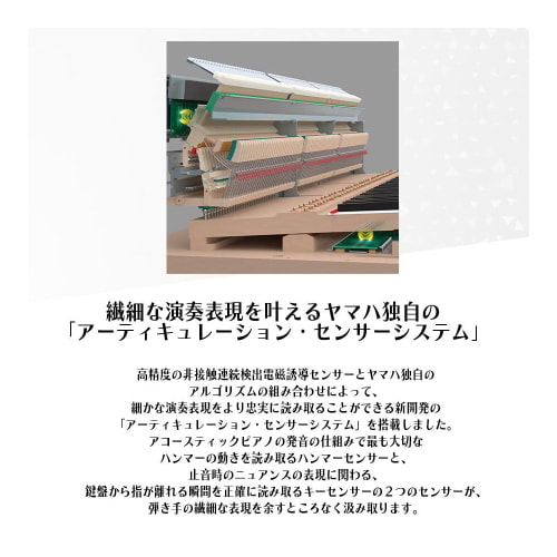アクション