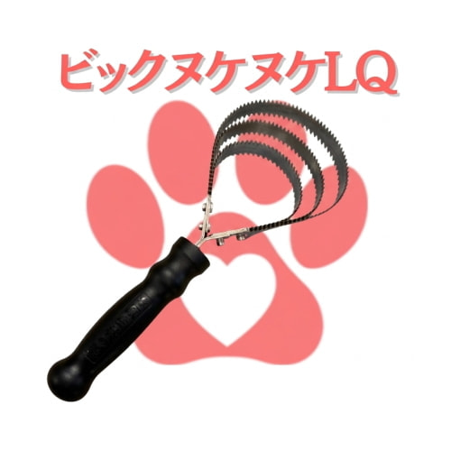 ビッグヌケヌケLQ