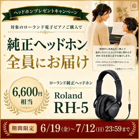 純正ヘッドホンRH-5お届け