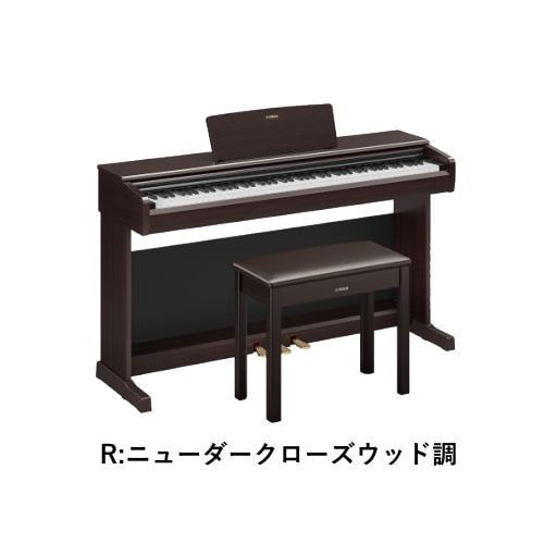 YDP-146R