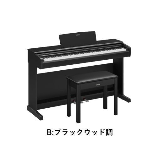 YDP-146B