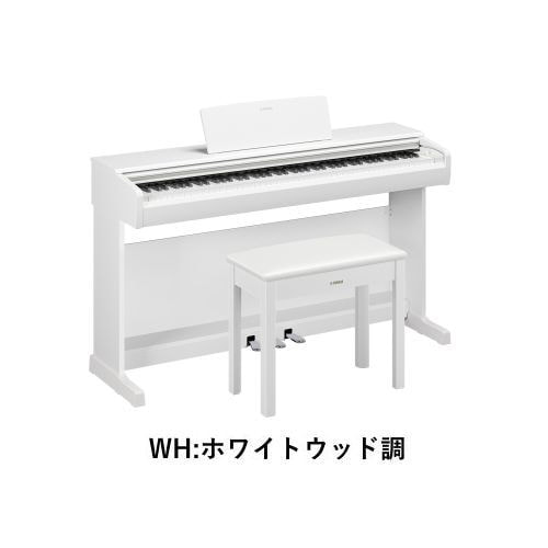 YDP-146WH