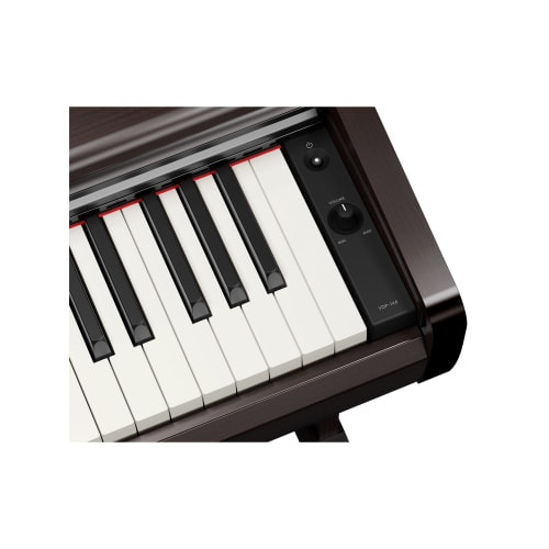 YDP-146R