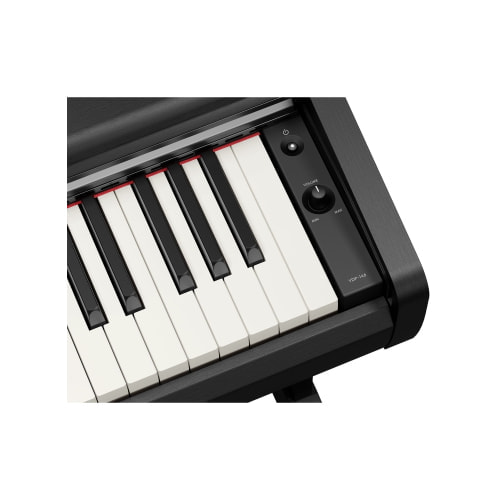 YDP-146B