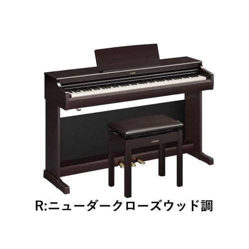 YDP-166R