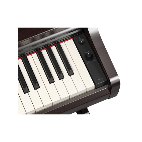 YDP-166R