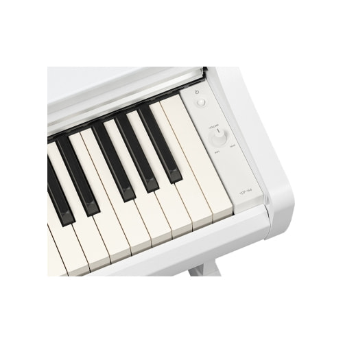 YDP-166WH